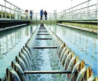 污水廠進(jìn)水營(yíng)養(yǎng)不均衡怎么辦